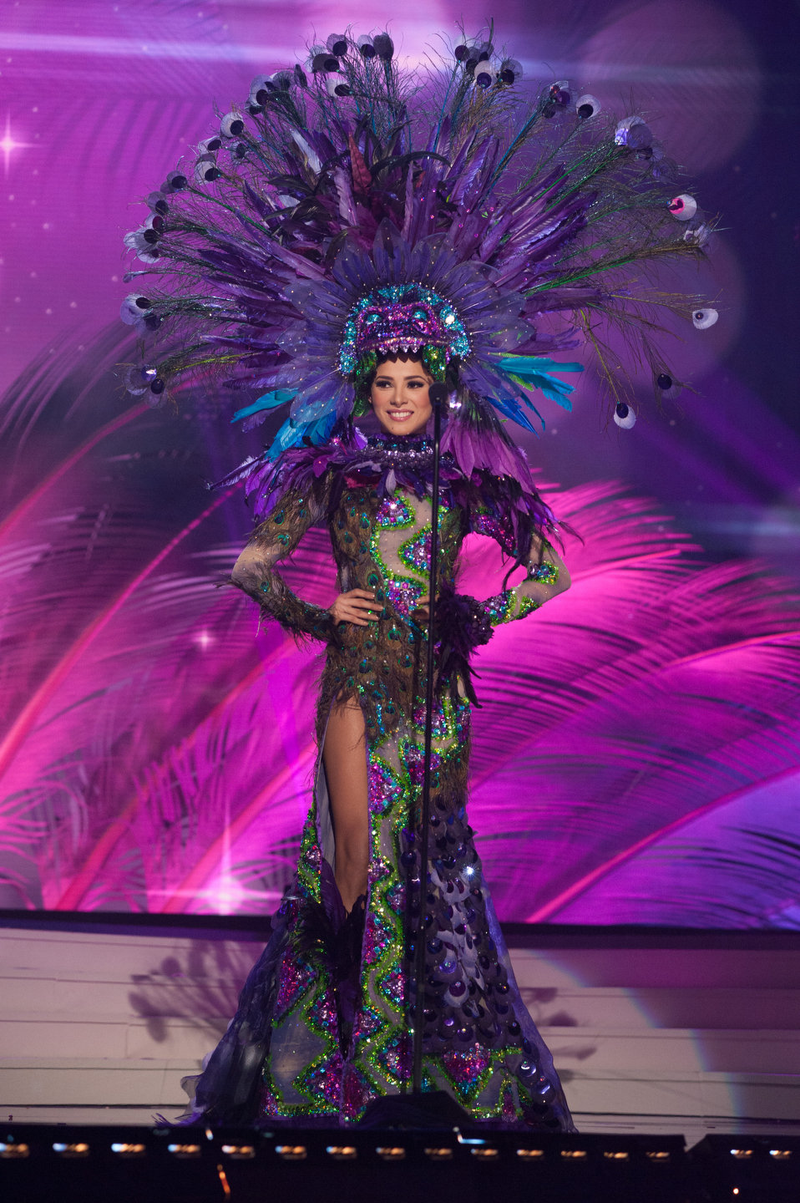 Illustration for article titled 2015 Miss Universe National Costumes: An Asshole's Review (Part 2)